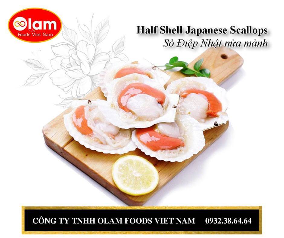 Sò Điệp Nhật Nửa  Vỏ / A HALF SHELL FROZEN  JP Scallops