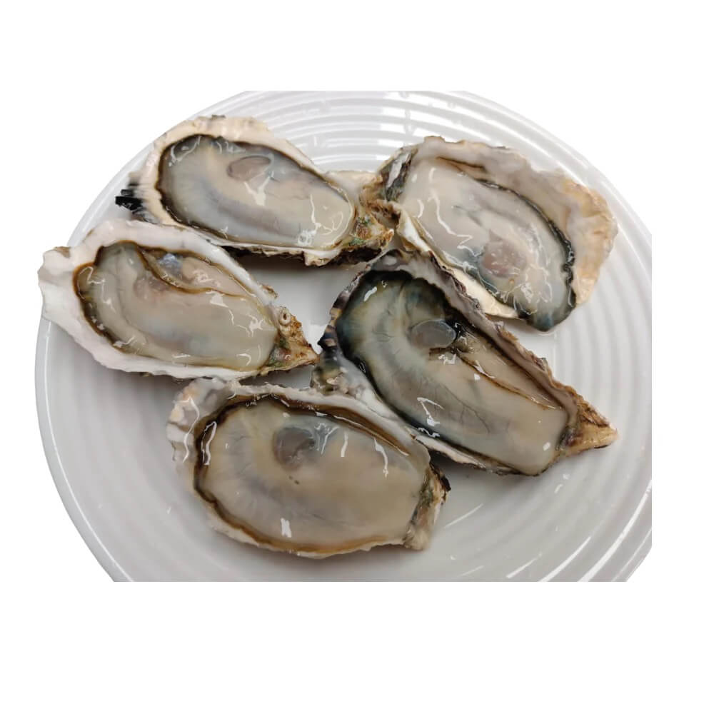 Hàu Manfuku Nhật Bản