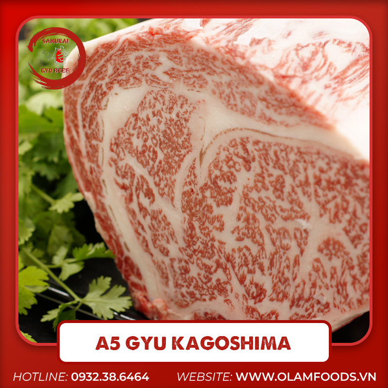 A5 Gyu Kagoshima Loin Set MBS 11/12 – Dòng Thịt Bò Nhật Kagoshima Thượng Hạng Cho Nhà Hàng Cao Cấp